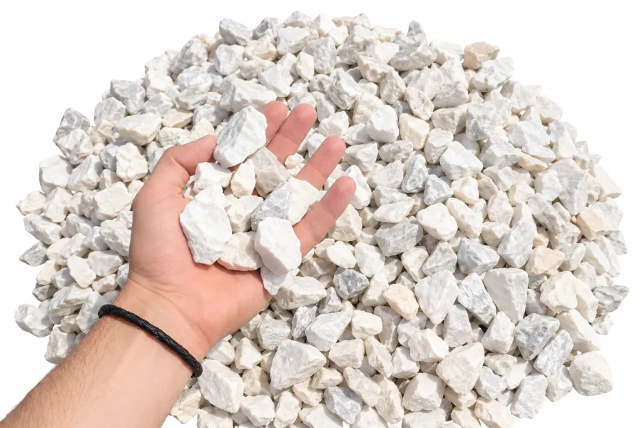 Piedra blanca para jardín en la mano