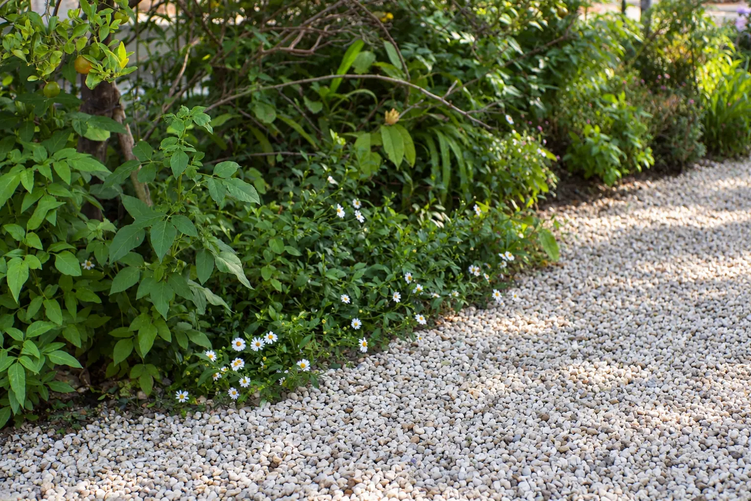Camino de jardín con pedregullo blanco